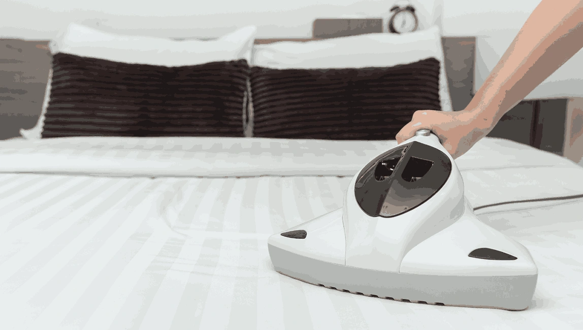 Professional Mattress Cleaning Dixons Creek